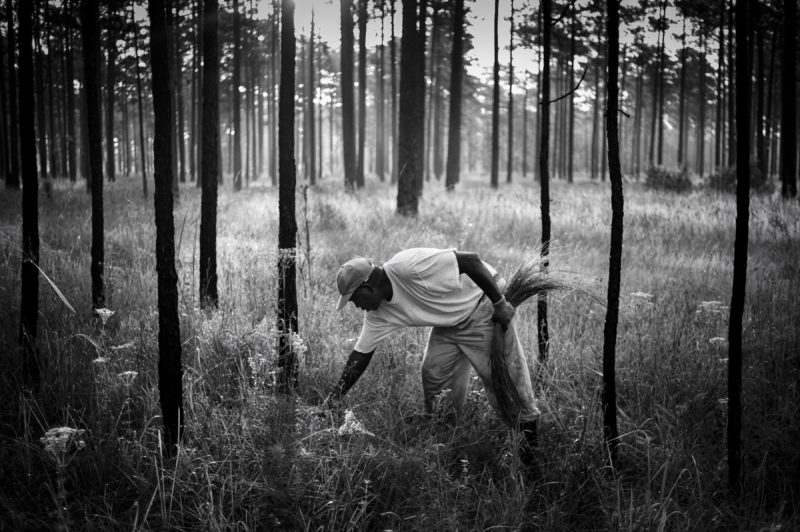 Shadows of the Gullah Geechee - americanreportage