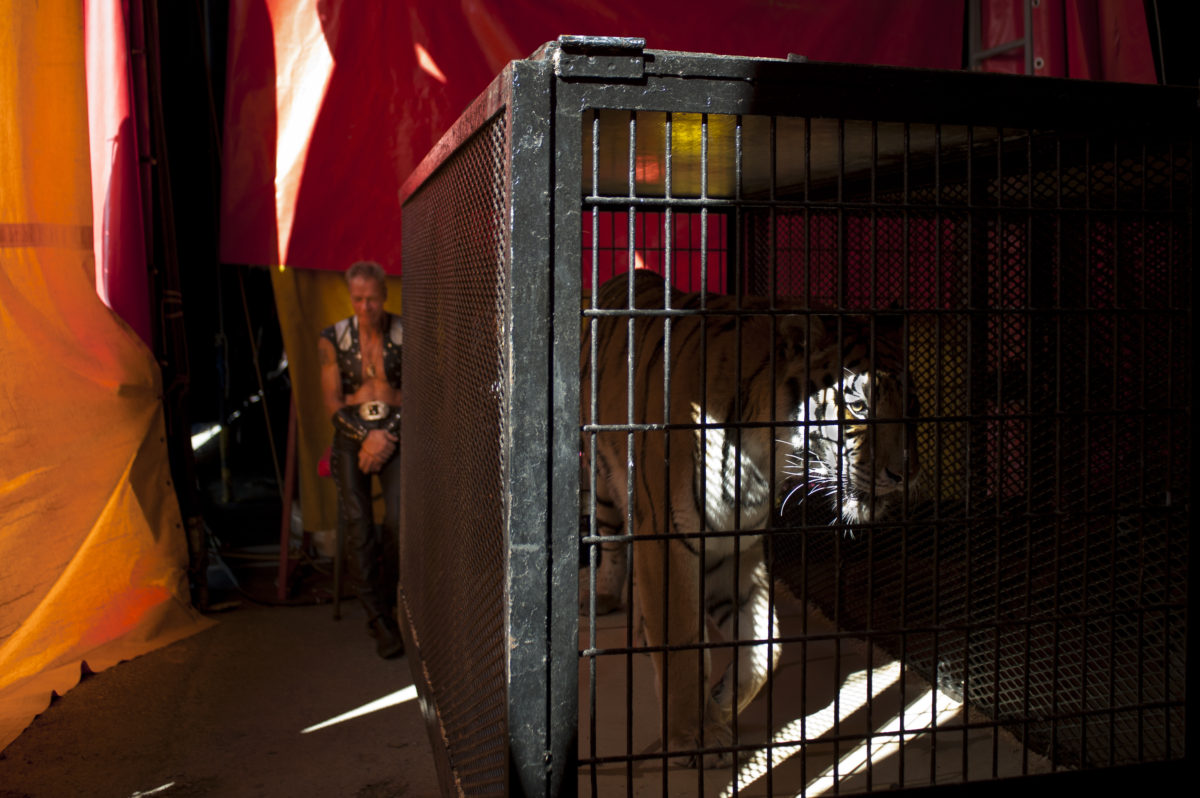Cole Bros. Circus 2011