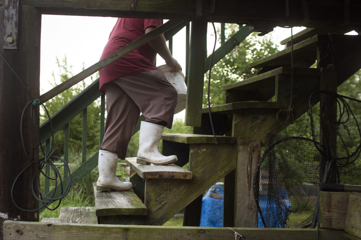 Edison Dardar walks up his stairs to make lunch from his morning catch.