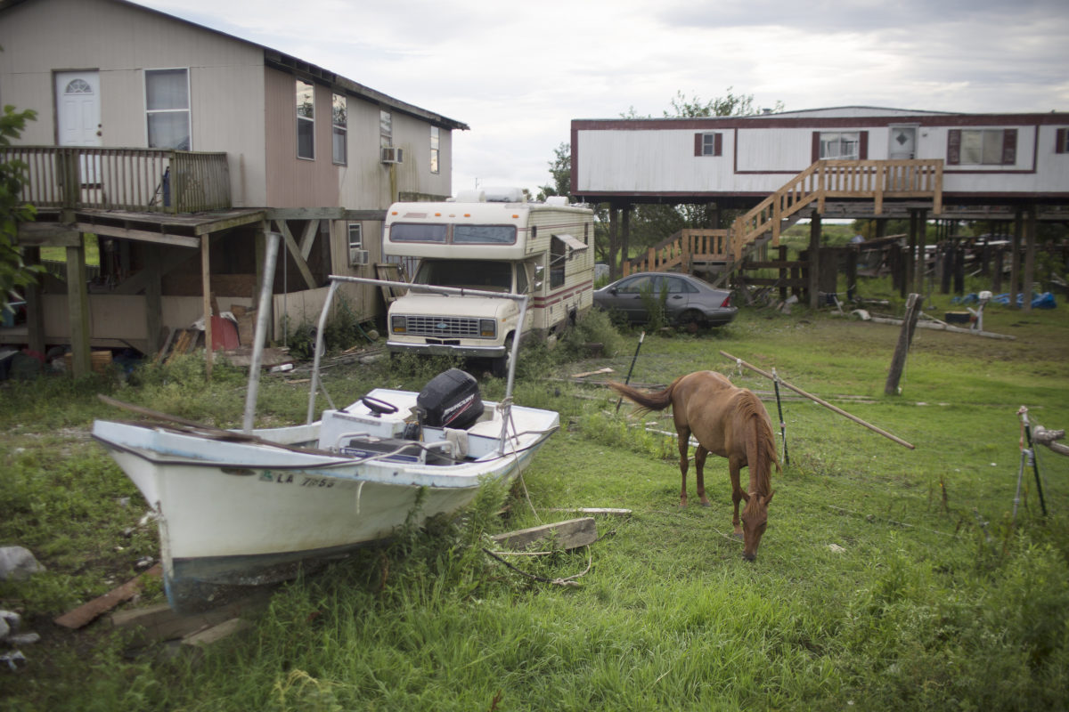 A horse grazes on Lower Highway 665 in Montegut, Louisiana near Island Road.