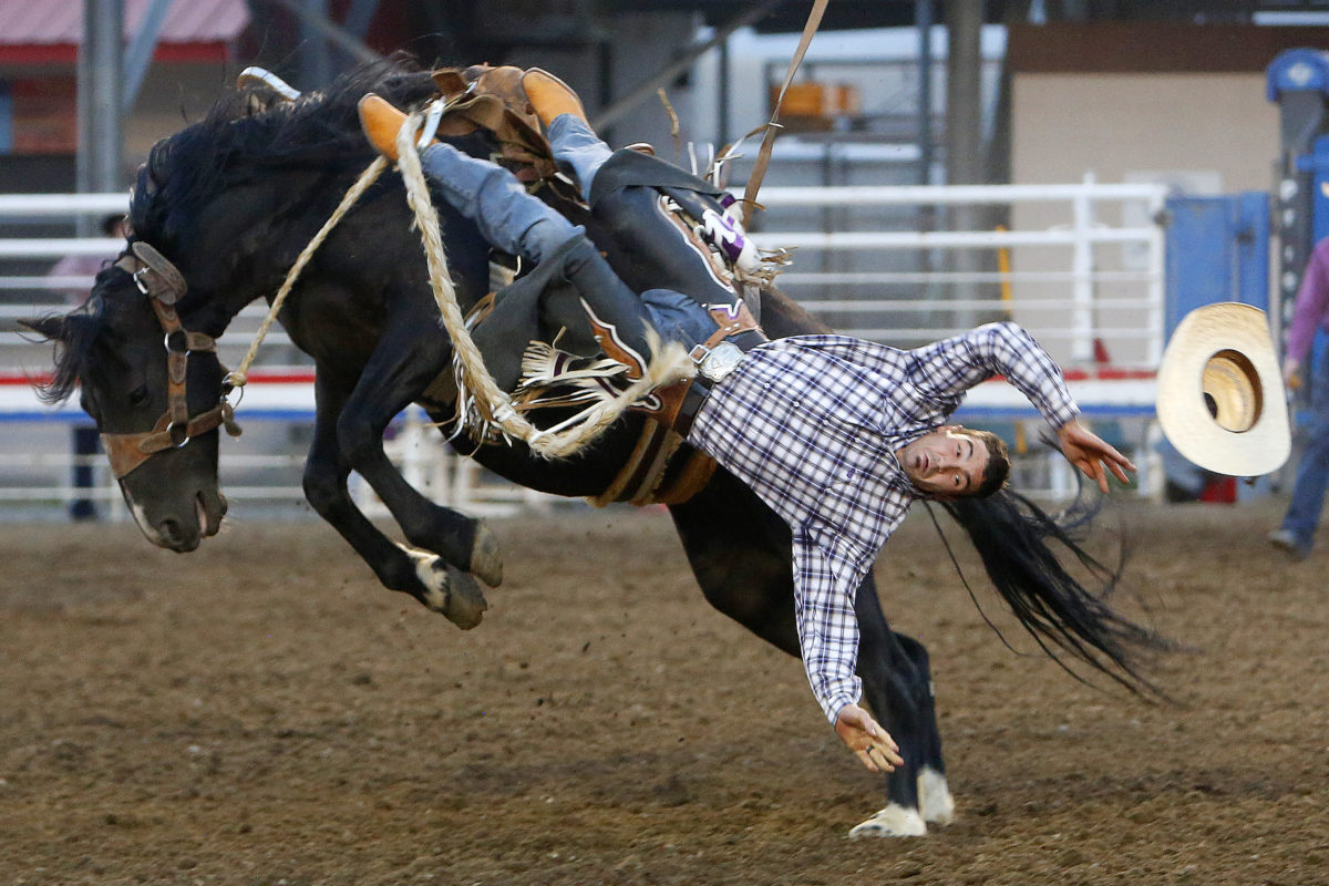 Cody Nite Rodeo: History
