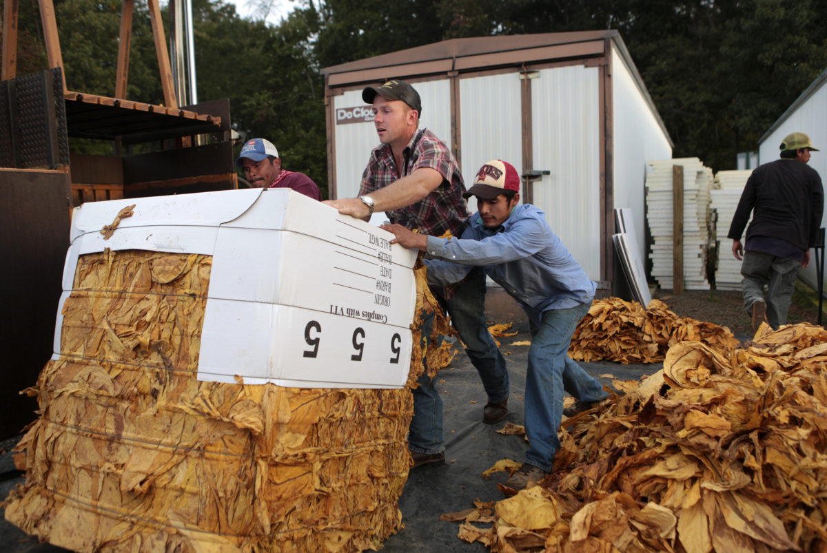 Continuing the tobacco tradition