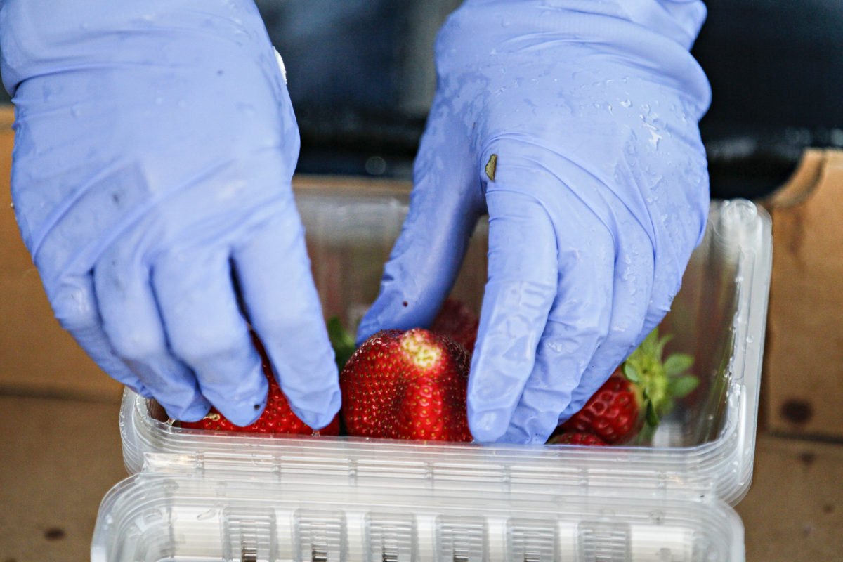The Real Strawberry Queen